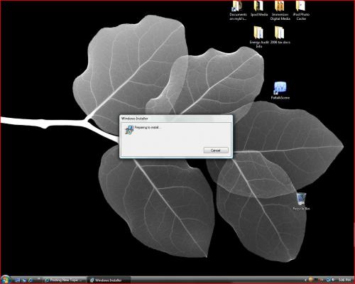 Windows_installer_screen_capture.JPG